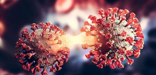 চট্টগ্রামে কোভিডে আক্রান্ত নারীর মৃত্যু