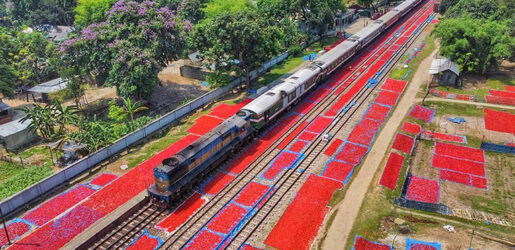 রেললাইনের ধারে ‘লালগালিচা’, দেখুন ছবিতে