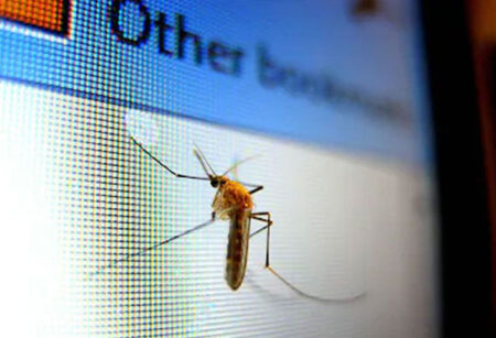 মশারূপী ড্রোন কি বদলে দিচ্ছে আমাদের বাস্তবতা?