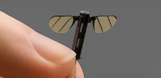 মশা আকৃতির নজরদারি ড্রোন তৈরি করল চীন