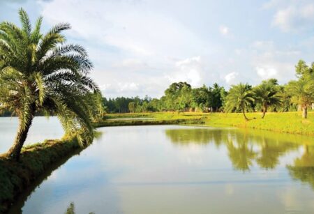 ৫০০ বছরের সাক্ষী জয়সাগর দিঘি