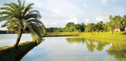 ৫০০ বছরের সাক্ষী জয়সাগর দিঘি