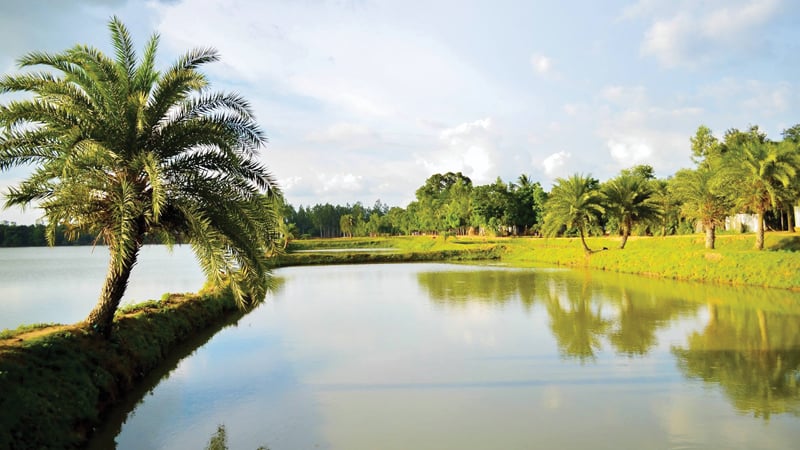 ৫০০ বছরের সাক্ষী জয়সাগর দিঘি