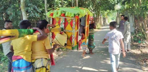 নবাবগঞ্জে পালকির গ্রাম