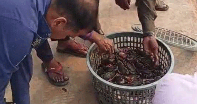 নিষেধাজ্ঞা অমান্য করে কাঁকড়া শিকার