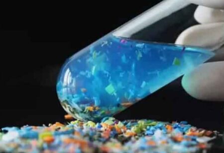 মানব শুক্রাণু ও ডিম্বাণুতে মিলেছে প্লাস্টিক কণার উপস্থিতি: গবেষণা