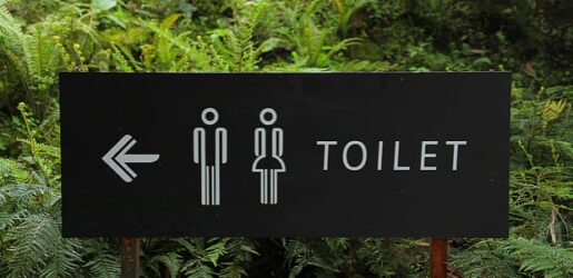 দিনে কতবার প্রস্রাব হওয়া স্বাভাবিক