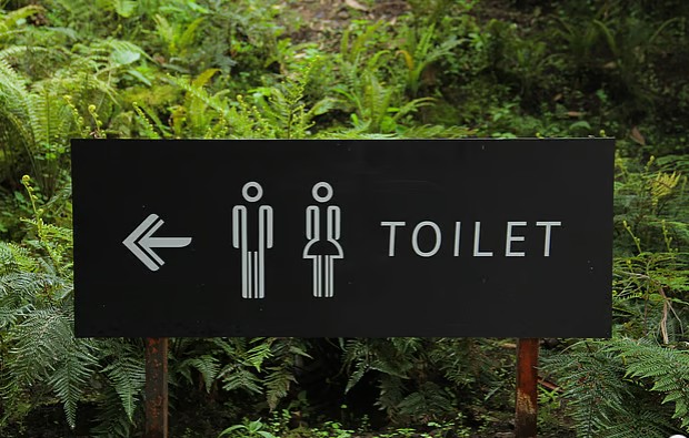 দিনে কতবার প্রস্রাব হওয়া স্বাভাবিক