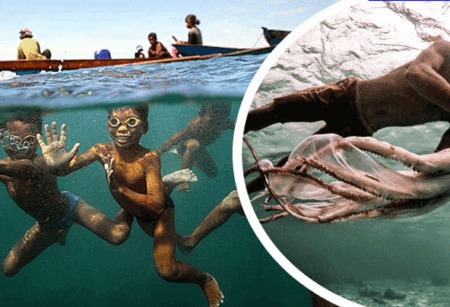 অক্সিজেন মাস্ক ছাড়াই ১৩ মিনিট পানির নিচে থাকতে পারেন তারা