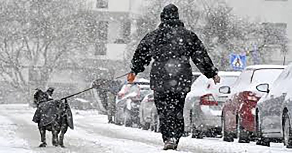 শীতকালীন ঝড়ে সুইডেনে নিহত ৩; ফিনল্যান্ড, নরওয়েতে বিদ্যুৎহীন বহু মানুষ
