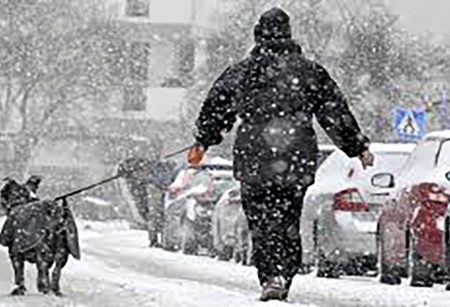 শীতকালীন ঝড়ে সুইডেনে নিহত ৩; ফিনল্যান্ড, নরওয়েতে বিদ্যুৎহীন বহু মানুষ