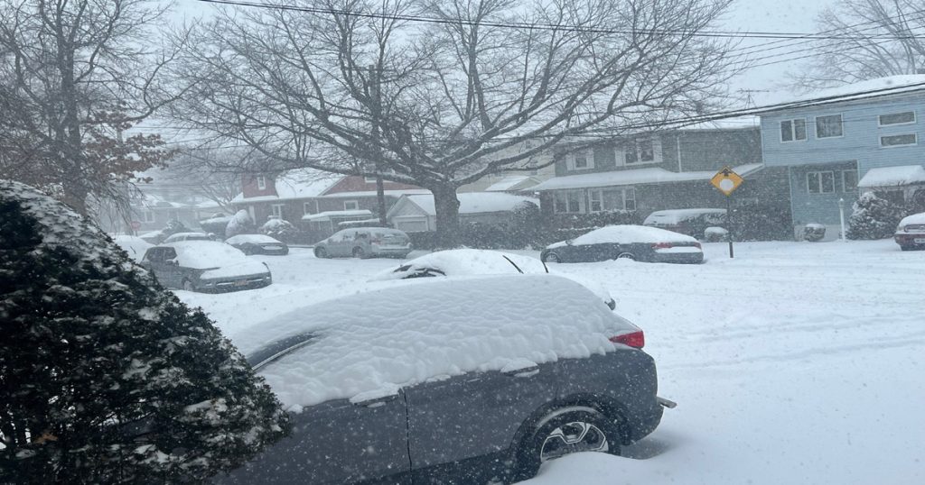 তুষারঝড়ে যুক্তরাষ্ট্রে প্রাণহানি বেড়ে ৩৬, আরো ১৫ রাজ্যে নতুন সতর্কতা জারি