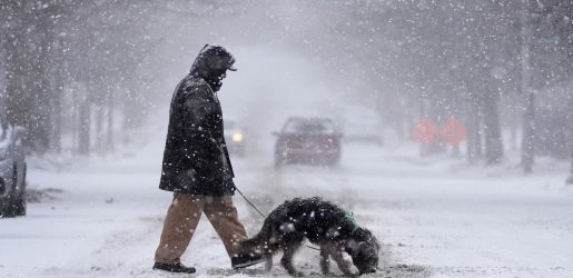 যুক্তরাষ্ট্রে ভয়ঙ্কর তুষারঝড়ে চার হাজার ফ্লাইট বাতিল, বিদ্যুৎবিচ্ছিন্ন লাখ লাখ মানুষ