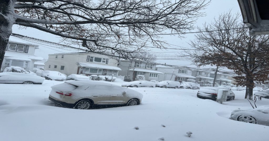 তুষারঝড়ের কবলে ৫ লক্ষাধিক বাংলাদেশিসহ চার কোটি আমেরিকান